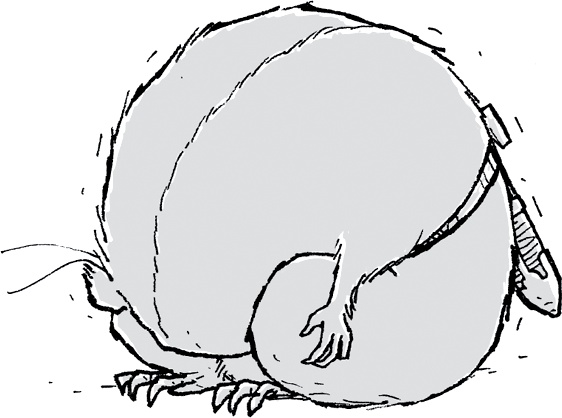 Иллюстрация к книге — Друзья навсегда [i_078.jpg]