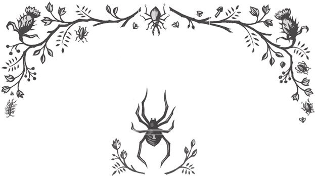 Иллюстрация к книге — Ночные кошмары! [i_002.jpg]