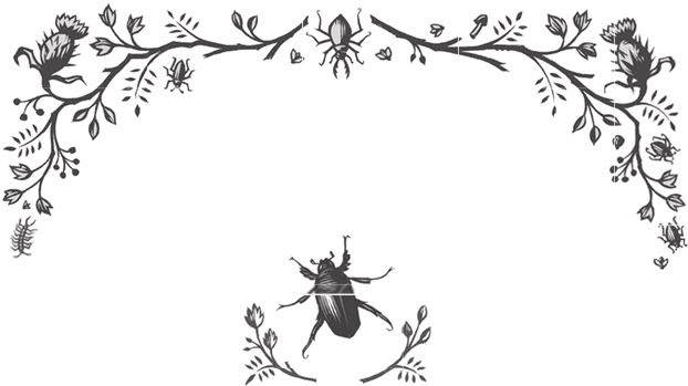 Иллюстрация к книге — Ночные кошмары! [i_026.jpg]