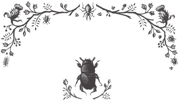 Иллюстрация к книге — Ночные кошмары! [i_031.jpg]