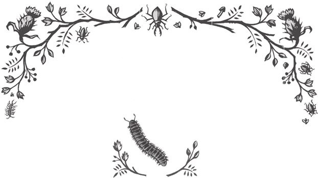 Иллюстрация к книге — Ночные кошмары! [i_034.jpg]