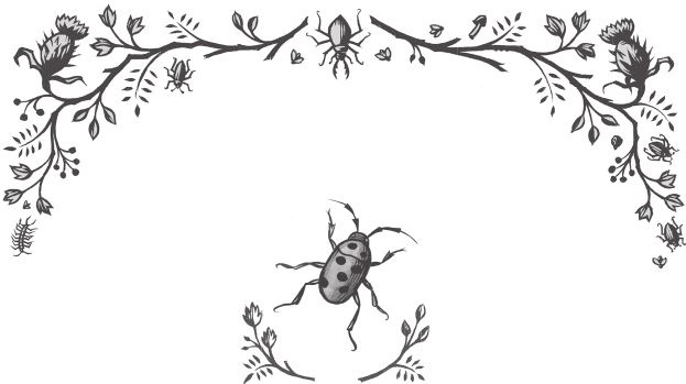 Иллюстрация к книге — Ночные кошмары! [i_038.jpg]