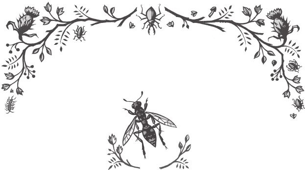 Иллюстрация к книге — Ночные кошмары! [i_056.jpg]