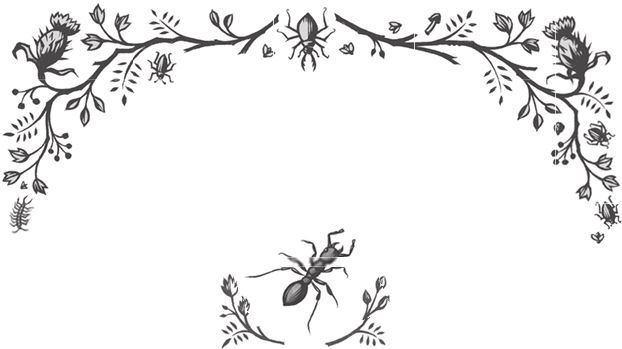 Иллюстрация к книге — Ночные кошмары! [i_064.jpg]