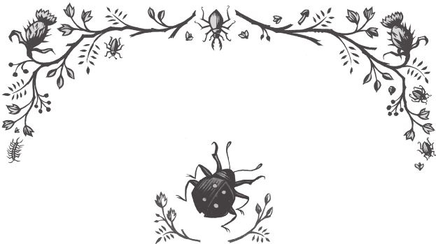 Иллюстрация к книге — Ночные кошмары! [i_072.jpg]