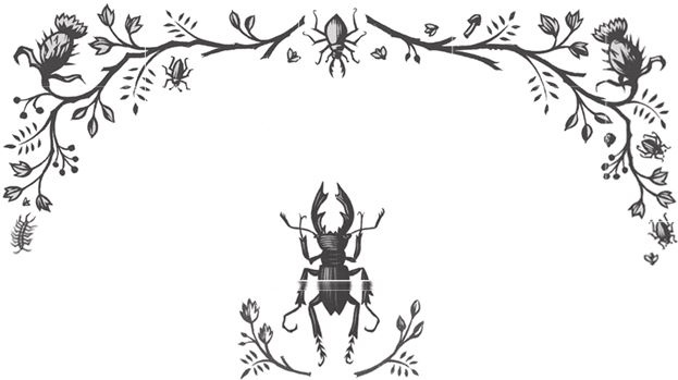 Иллюстрация к книге — Ночные кошмары! [i_076.jpg]