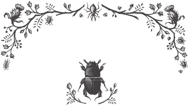 Иллюстрация к книге — Ночные кошмары! [i_079.jpg]