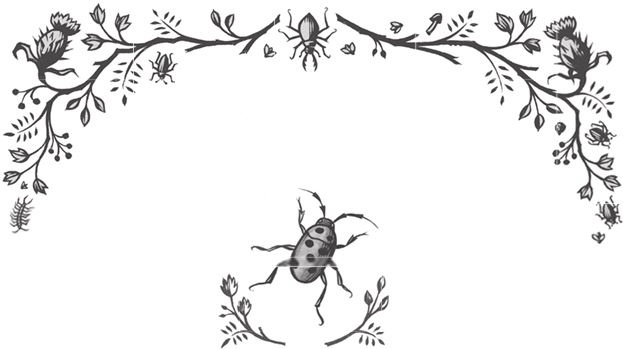 Иллюстрация к книге — Ночные кошмары! [i_087.jpg]