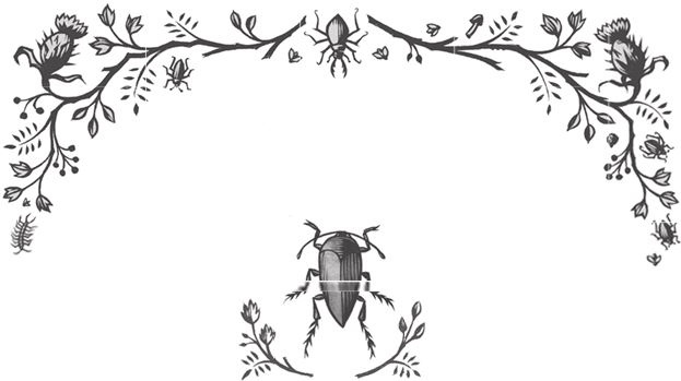 Иллюстрация к книге — Ночные кошмары! [i_088.jpg]