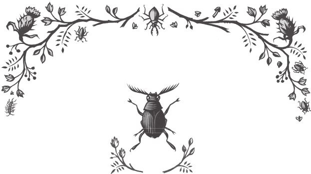 Иллюстрация к книге — Ночные кошмары! [i_090.jpg]