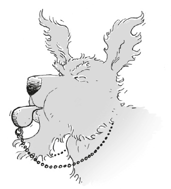 Иллюстрация к книге — Последний цирковой тигр [i_010.jpg]