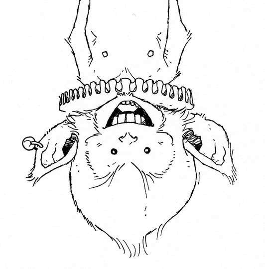 Иллюстрация к книге — Последний цирковой тигр [i_014.jpg]