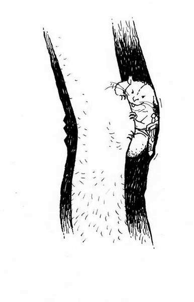 Иллюстрация к книге — Последний цирковой тигр [i_019.jpg]