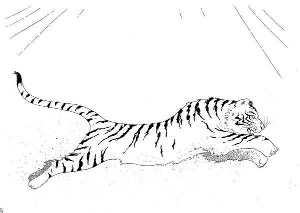 Иллюстрация к книге — Последний цирковой тигр [i_041.jpg]