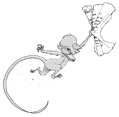 Иллюстрация к книге — Последний цирковой тигр [i_054.jpg]