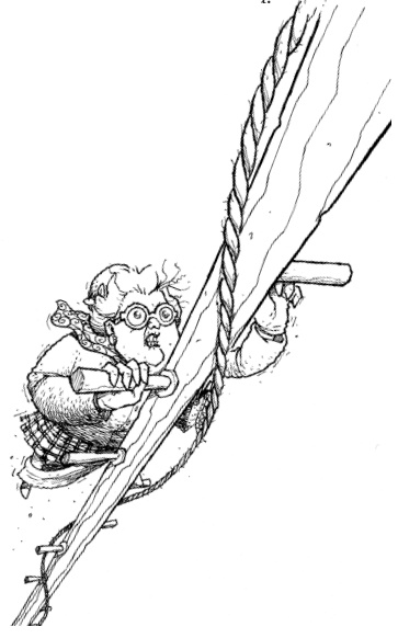 Иллюстрация к книге — Последний цирковой тигр [i_079.jpg]