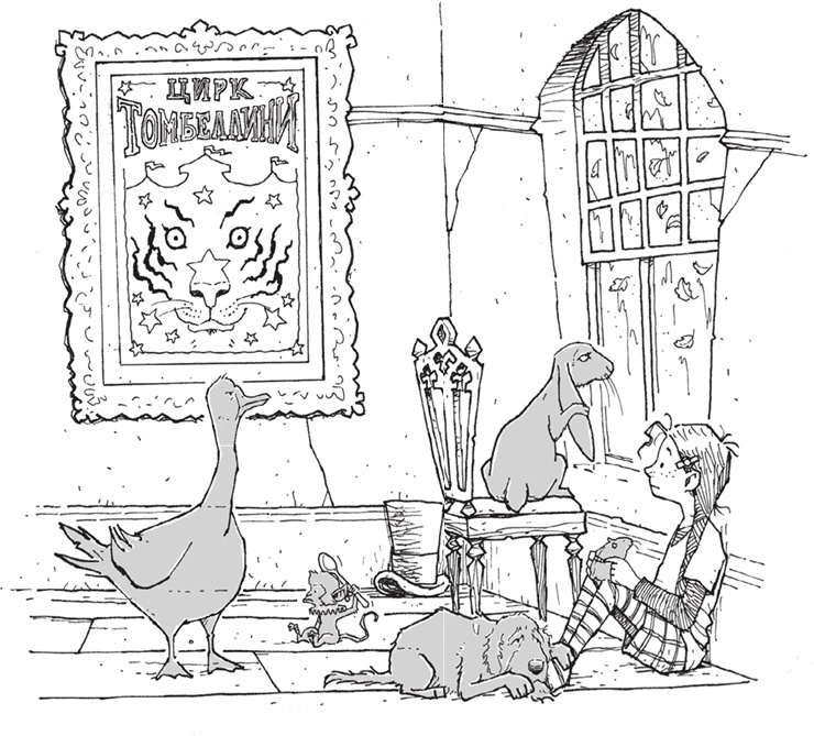 Иллюстрация к книге — Лошадь по имени Луна [i_003.jpg]