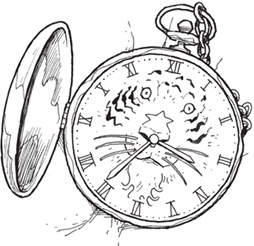 Иллюстрация к книге — Лошадь по имени Луна [i_007.jpg]