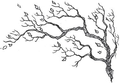 Иллюстрация к книге — Лошадь по имени Луна [i_012.jpg]