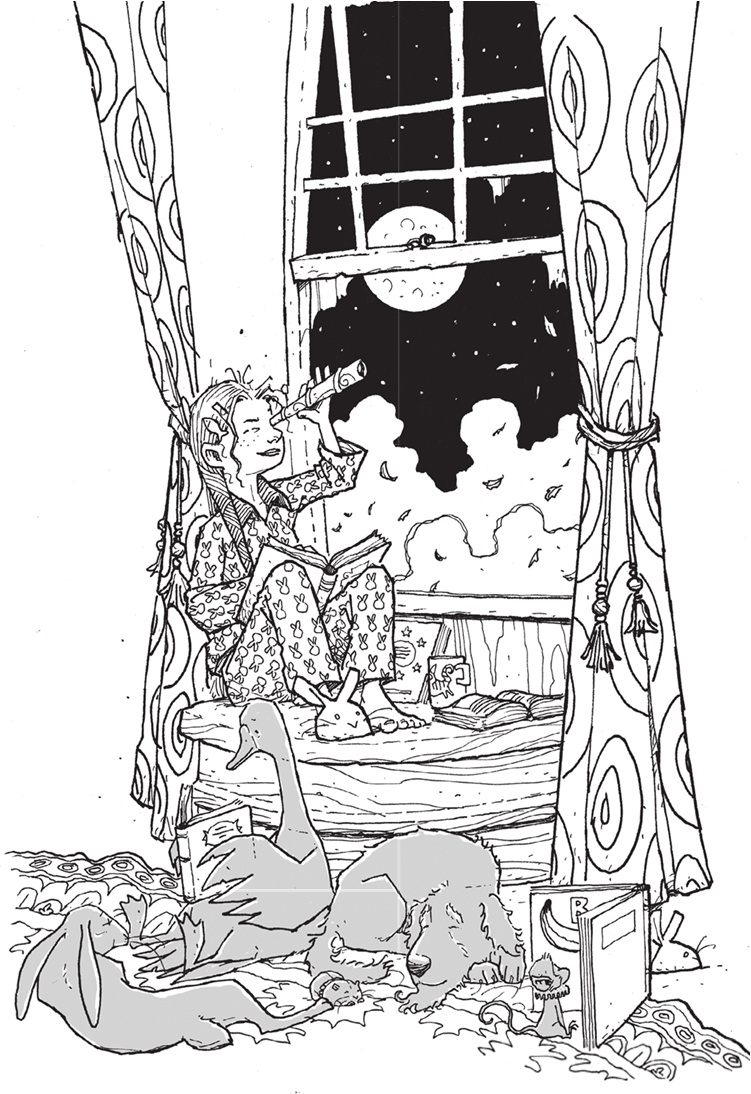 Иллюстрация к книге — Лошадь по имени Луна [i_014.jpg]