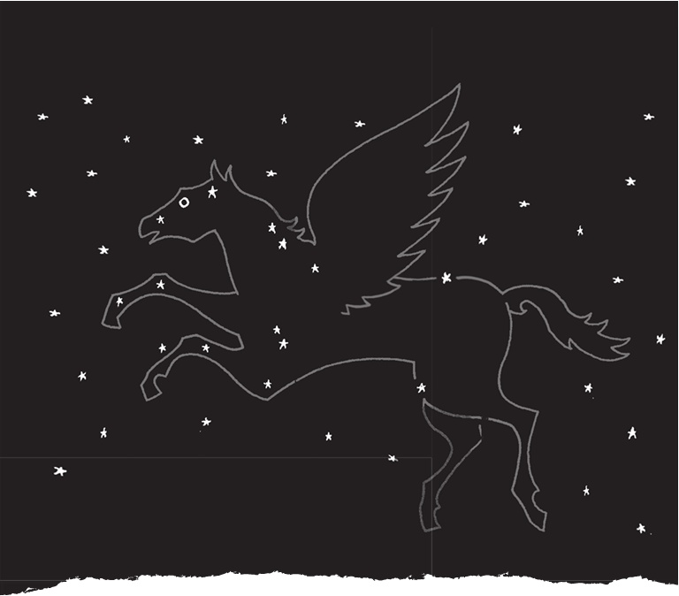 Иллюстрация к книге — Лошадь по имени Луна [i_015.jpg]