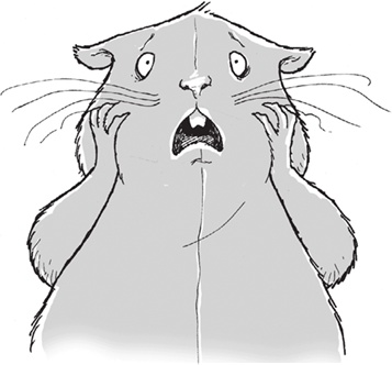 Иллюстрация к книге — Лошадь по имени Луна [i_023.jpg]