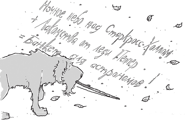 Иллюстрация к книге — Лошадь по имени Луна [i_032.jpg]