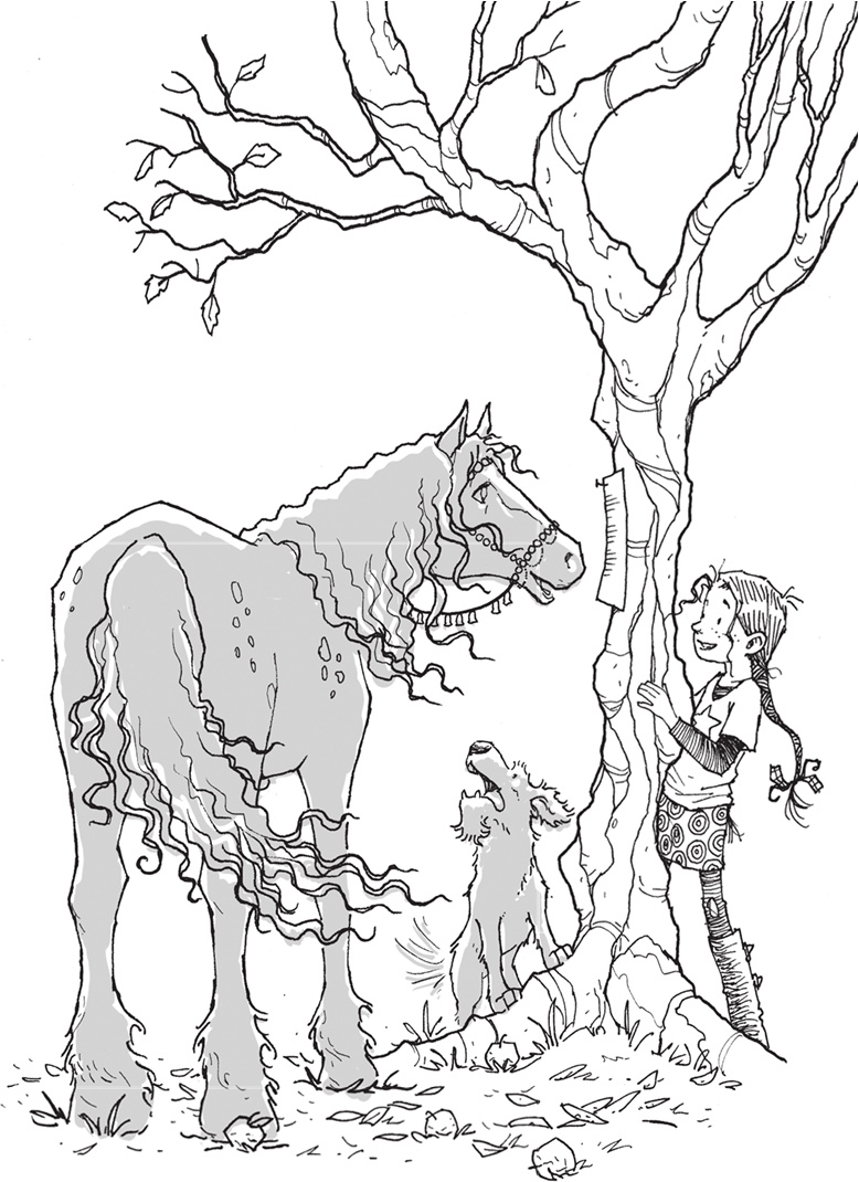 Иллюстрация к книге — Лошадь по имени Луна [i_037.jpg]