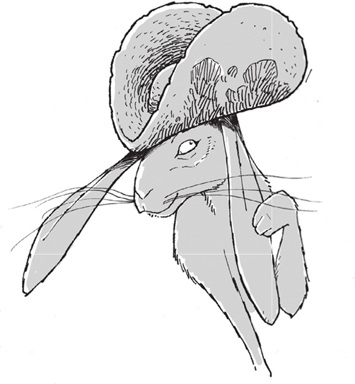 Иллюстрация к книге — Лошадь по имени Луна [i_072.jpg]