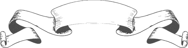 Иллюстрация к книге — Устойчивость к ежедневному писательству: вдохновение для писателей на 365 дней [i_003.jpg]