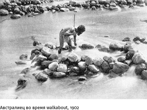 Иллюстрация к книге — Маленький плохой заяц, или Взаимосвязь религии и окружающей среды [i_009.jpg]