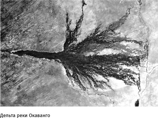 Иллюстрация к книге — Маленький плохой заяц, или Взаимосвязь религии и окружающей среды [i_016.jpg]