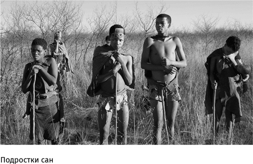 Иллюстрация к книге — Маленький плохой заяц, или Взаимосвязь религии и окружающей среды [i_018.jpg]