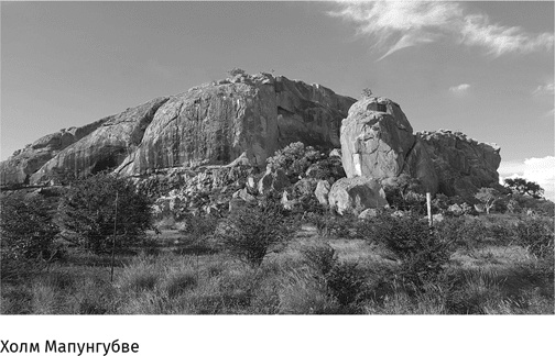 Иллюстрация к книге — Маленький плохой заяц, или Взаимосвязь религии и окружающей среды [i_021.jpg]