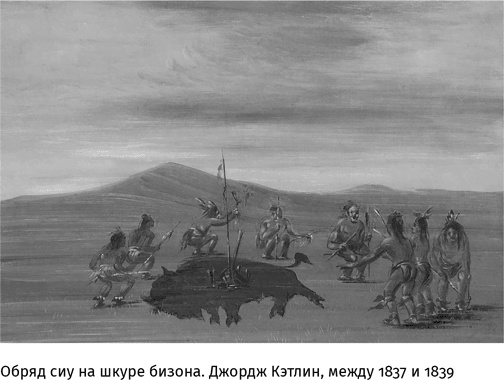 Иллюстрация к книге — Маленький плохой заяц, или Взаимосвязь религии и окружающей среды [i_045.jpg]