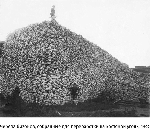 Иллюстрация к книге — Маленький плохой заяц, или Взаимосвязь религии и окружающей среды [i_046.jpg]