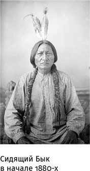 Иллюстрация к книге — Маленький плохой заяц, или Взаимосвязь религии и окружающей среды [i_055.jpg]