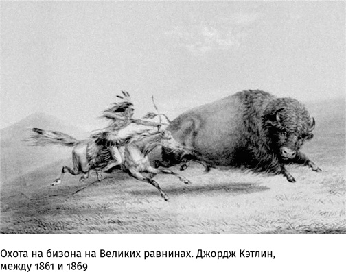 Иллюстрация к книге — Маленький плохой заяц, или Взаимосвязь религии и окружающей среды [i_062.jpg]