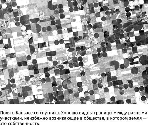 Иллюстрация к книге — Маленький плохой заяц, или Взаимосвязь религии и окружающей среды [i_066.jpg]