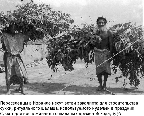 Иллюстрация к книге — Маленький плохой заяц, или Взаимосвязь религии и окружающей среды [i_074.jpg]