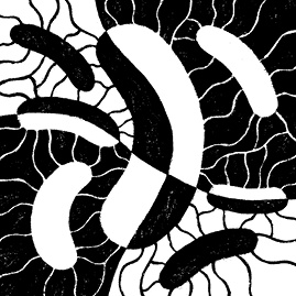 Иллюстрация к книге — Перспективы отбора [i_004.jpg]