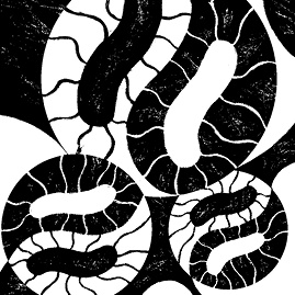 Иллюстрация к книге — Перспективы отбора [i_011.jpg]