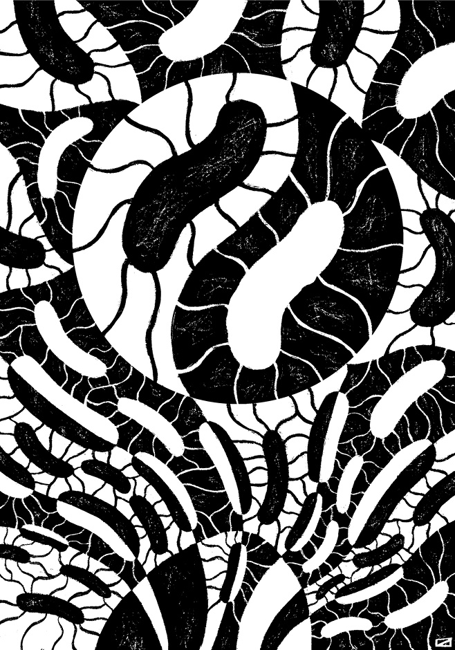 Иллюстрация к книге — Перспективы отбора [i_013.jpg]