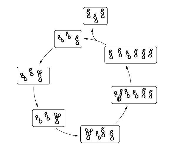 Иллюстрация к книге — Перспективы отбора [i_020.jpg]
