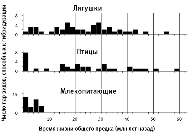 Иллюстрация к книге — Перспективы отбора [i_040.jpg]