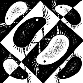 Иллюстрация к книге — Перспективы отбора [i_044.jpg]