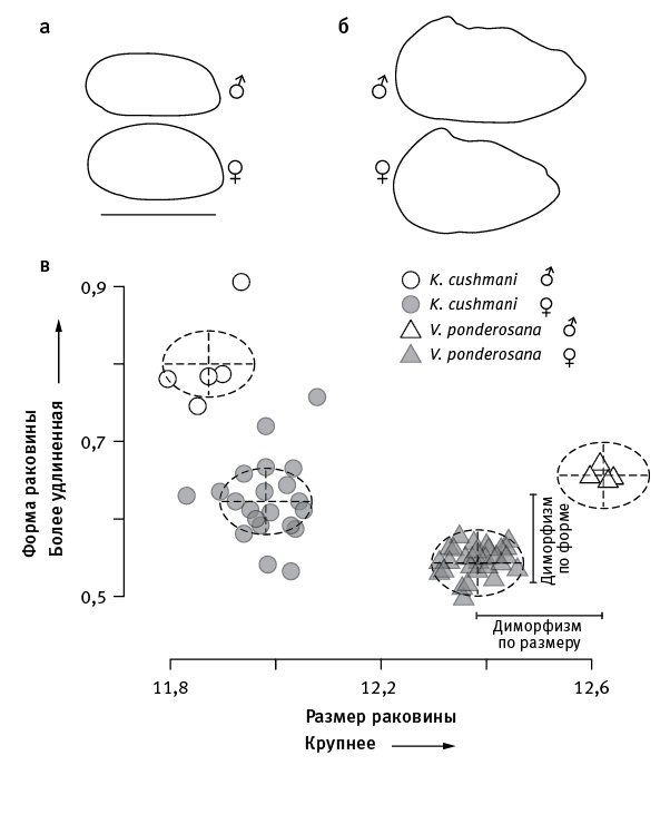 Иллюстрация к книге — Перспективы отбора [i_047.jpg]