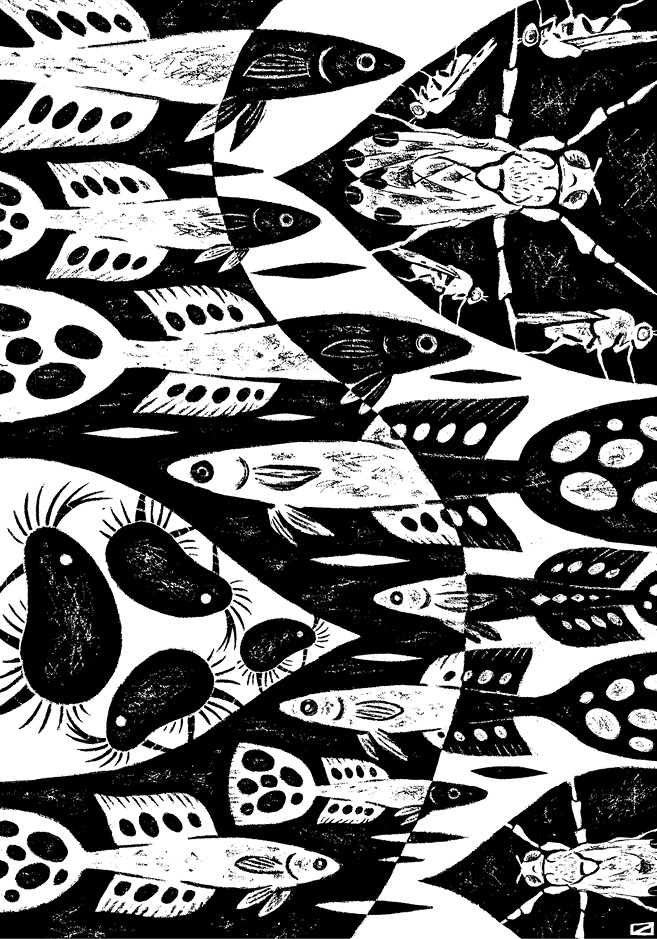 Иллюстрация к книге — Перспективы отбора [i_048.jpg]