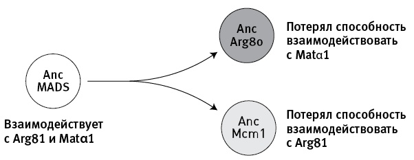 Иллюстрация к книге — Перспективы отбора [i_070.jpg]