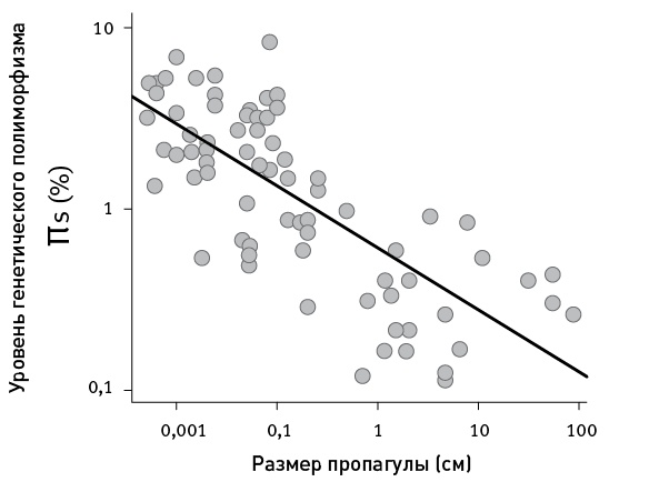 Иллюстрация к книге — Перспективы отбора [i_073.jpg]